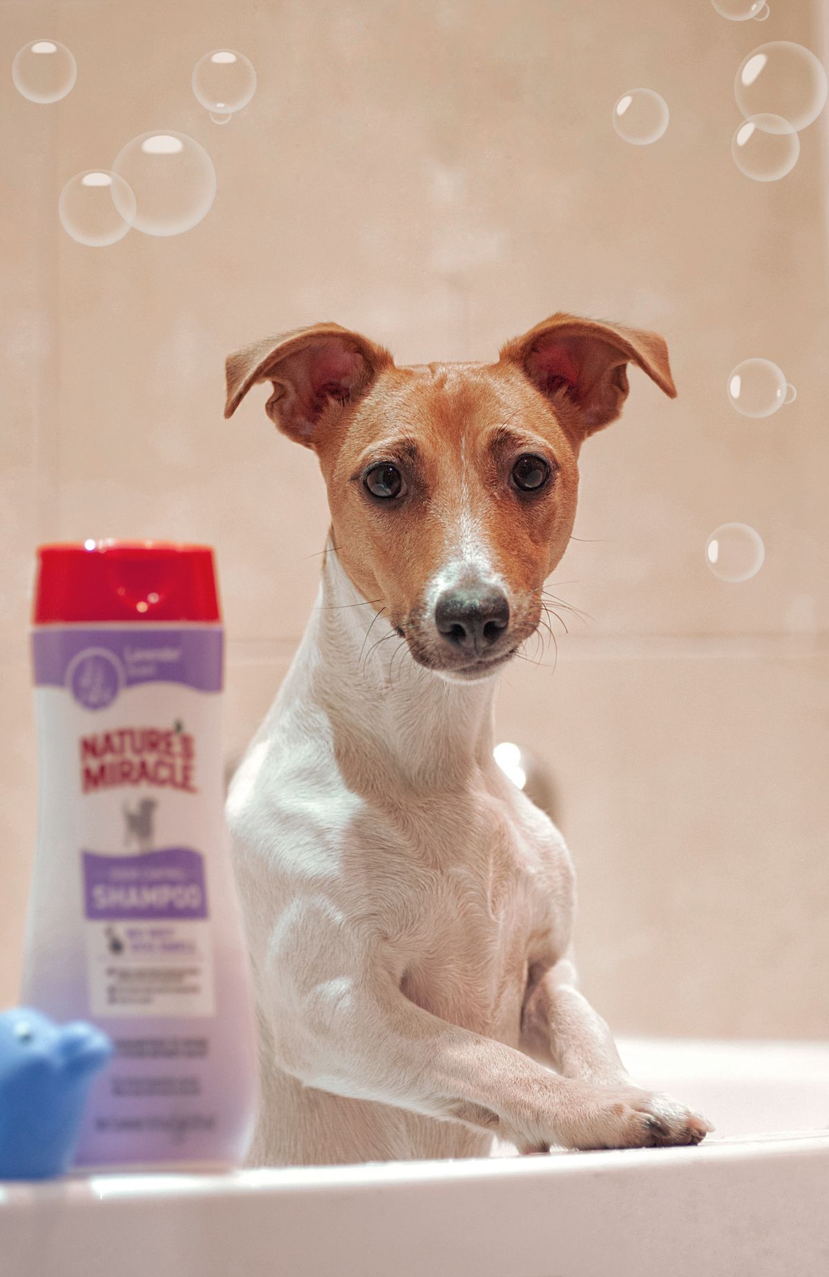 A dog enjoying a shampoo bath in a bathtub